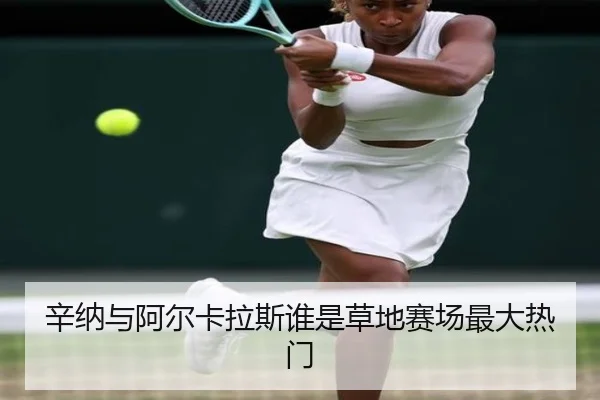 辛纳与阿尔卡拉斯谁是草地赛场最大热门